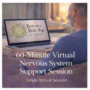 60-Minute Virtual Nervous System Support Session